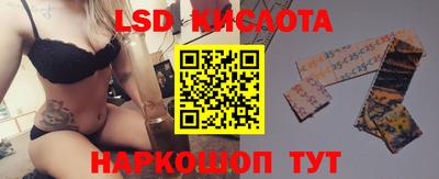 Альфа ПВП Кингисепп