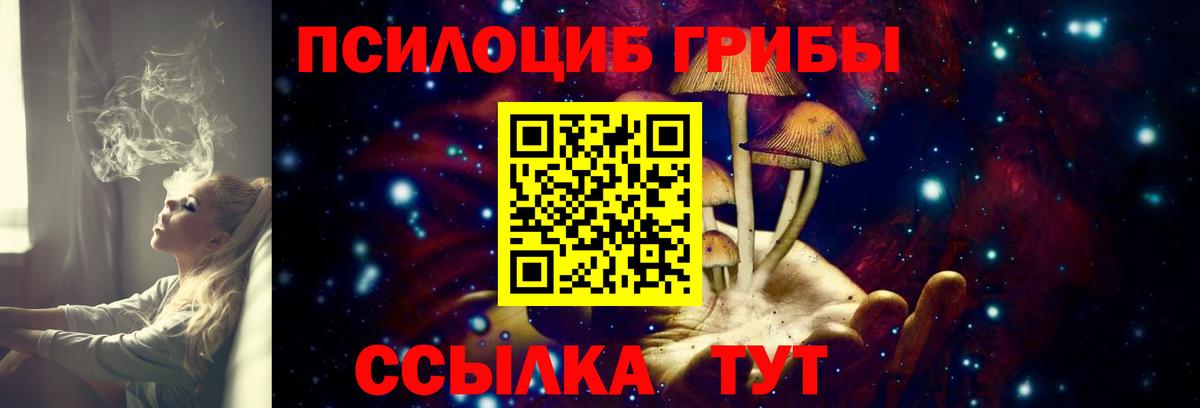 Кудымкар  Галлюциногенные грибы прущие грибы  Вход с VPN 